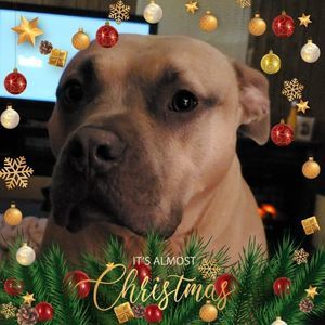 Meet your Posher, Maureen